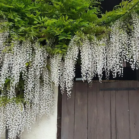 Couette-café Les Tilleuls