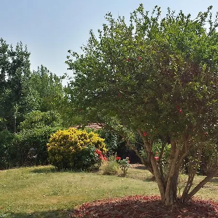 Bed & Breakfast Les Tilleuls