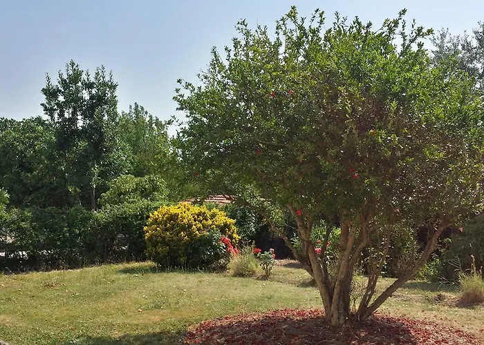 Frühstückspension Les Tilleuls