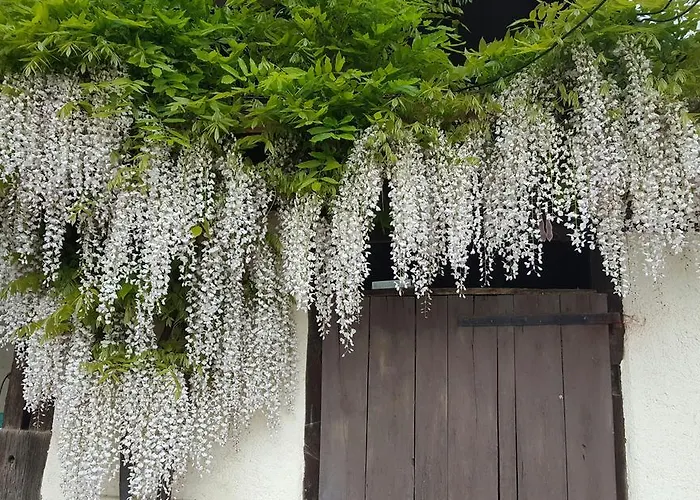 Frühstückspension Les Tilleuls